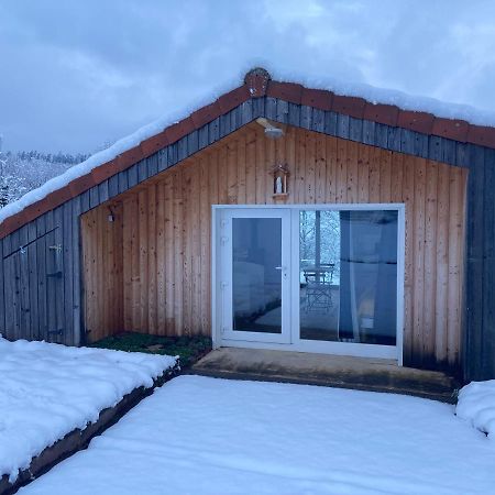 Le Chalet Dans La Nature Saulcy-sur-Meurthe Bagian luar foto