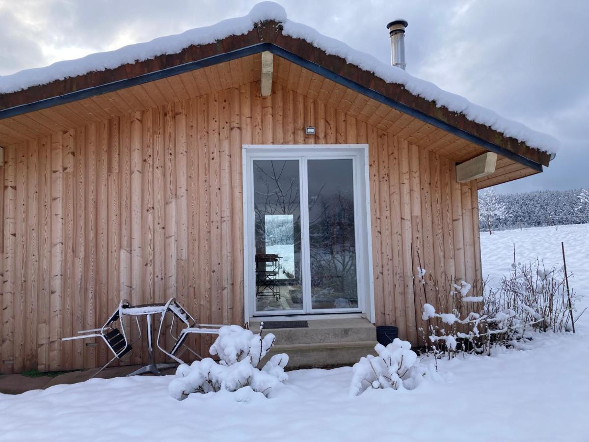 Le Chalet Dans La Nature Saulcy-sur-Meurthe Bagian luar foto